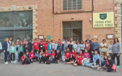 L’Escola Pública Ramón y Cajal d’Ulldecona participa a la prova pilot del Programa de foment de l’emprenedoria i el cooperativisme de la Diputació de Tarragona
